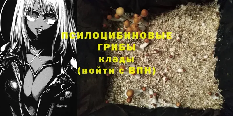 что такое наркотик  Калач  Псилоцибиновые грибы Cubensis 