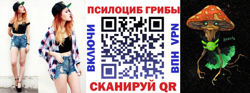 Галлюциногенные грибы Psilocybe  магазин  наркотиков  Калач 